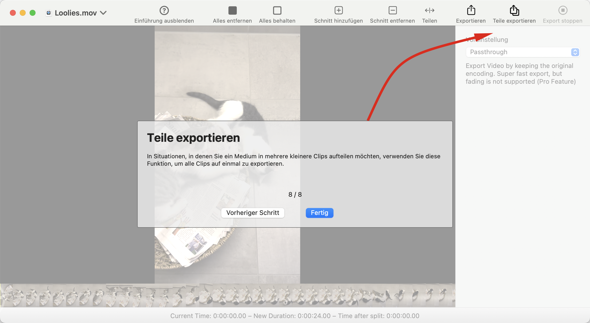 Export Parts Operation